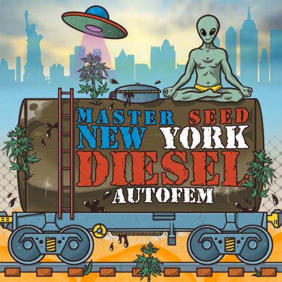 Семена конопли Master-Seed Auto New York Diesel Feminised