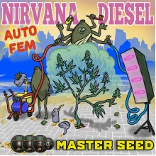 Master-Seed Auto Nirvana Diesel Feminised