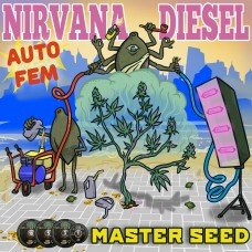 Master-Seed auto Nirvana Diesel feminised