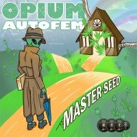 Master-Seed auto Opium feminised