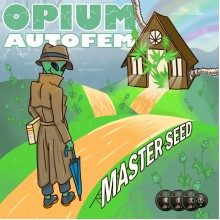 Master-Seed Auto Opium Feminised