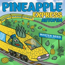 Master-Seed Auto Pineapple Express Feminised