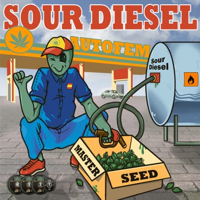 Семена конопли Master-Seed Auto Sour Diesel Feminised