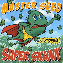 Master-Seed Auto Super Skunk Feminised