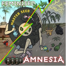 Master-Seed Amnesia Feminised