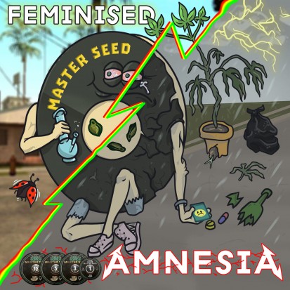 Семена конопли Master-Seed Amnesia Feminised