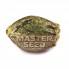 Семена конопли Master-Seed Big Bud Feminised