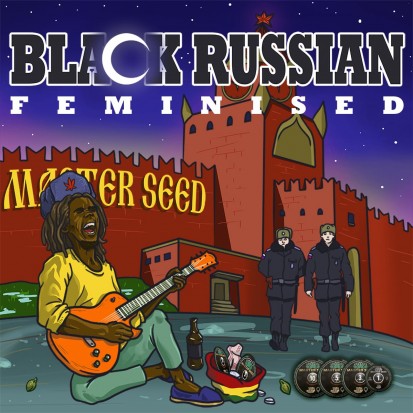 Насіння коноплі Master-Seed Black Russian Feminised