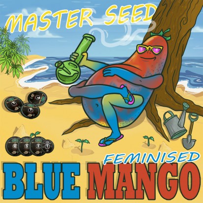 Насіння коноплі Master-Seed Blue Mango Feminised