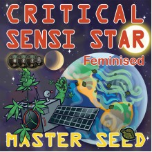 Master-Seed Critical Sensi Star Feminised
