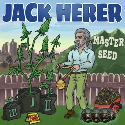 Master-Seed Jack Herer Feminised