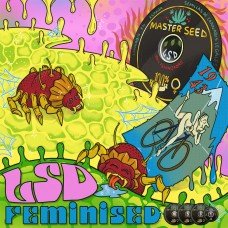 Master-Seed LSD feminised