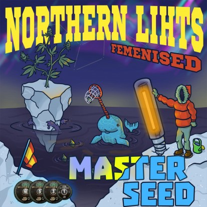 Семена конопли Master-Seed Northern Lights Feminised