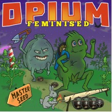 Master-Seed Opium Feminised
