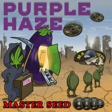 Master-Seed Purple Haze feminised