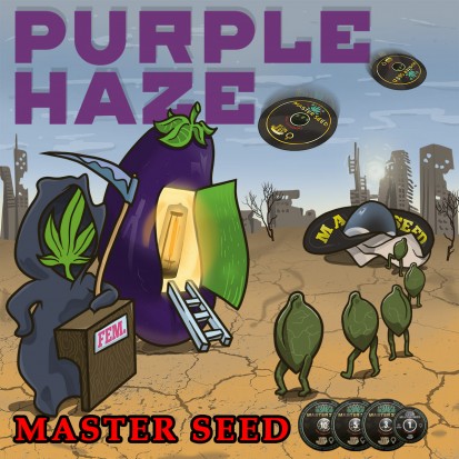 Семена конопли Master-Seed Purple Haze Feminised
