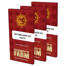 Skywalker Og auto feminised (Barneys Farm)