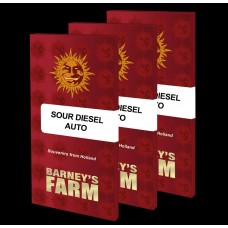 Sour Diesel auto feminised (Barneys Farm)