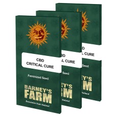 Critical Cure CBD feminised (Barneys Farm)