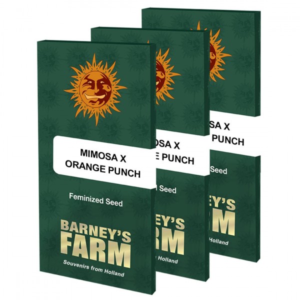 Насіння марихуани Mimosa X Orange Punch fem. Barneys Farm