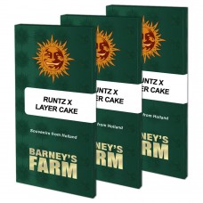 Runtz X Layer Cake feminised (Barneys Farm)