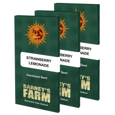 Strawberry Lemonade feminised (Barneys Farm)