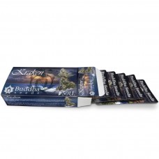 Buddha Kraken feminised (Buddha Seeds)