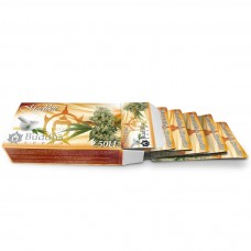 Buddha Medikit CBD feminised (Buddha Seeds)