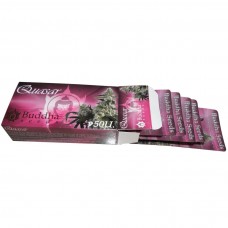 Buddha Quasar feminised (Buddha Seeds)