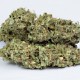 Семена конопли Dinafem auto OG Kush feminised