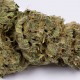 Семена конопли Dinafem auto OG Kush feminised