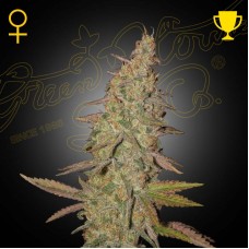 Arjan'S Ultra Haze 1 feminised (Green House Seeds)