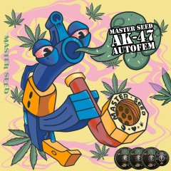 Master-Seed auto АК-47 feminised
