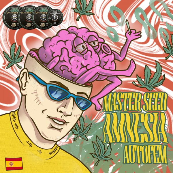 Семена конопли Amnesia autofem. XXL Premium Big Size