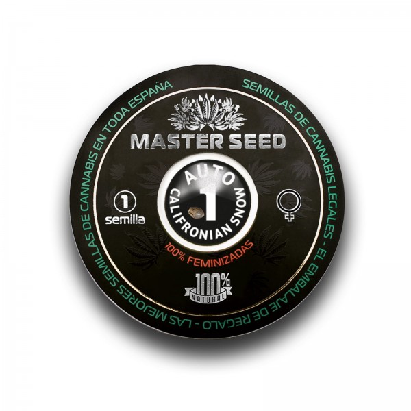 Насіння коноплі Master-Seed auto Californian Snow feminised