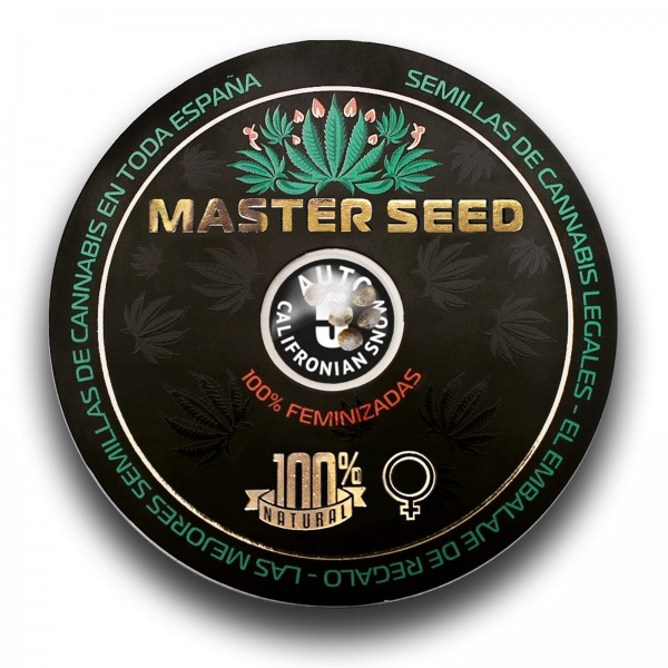 Насіння коноплі Master-Seed auto Californian Snow feminised