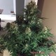 Семена конопли Master-Seed auto Cheese feminised