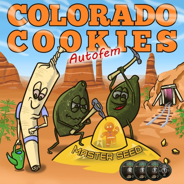 Насіння коноплі Master-Seed auto Colorado Cookies feminised