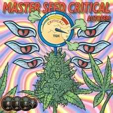 Master-Seed auto Critical feminised