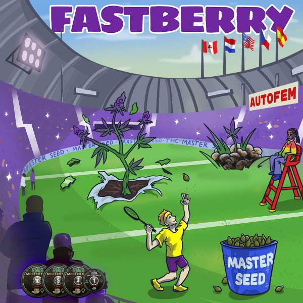 Семена конопли Fastberry autofem. XXL Premium Big Size