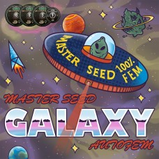 Master-Seed auto Galaxy feminised