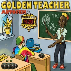 Master-Seed auto Golden Teacher feminised