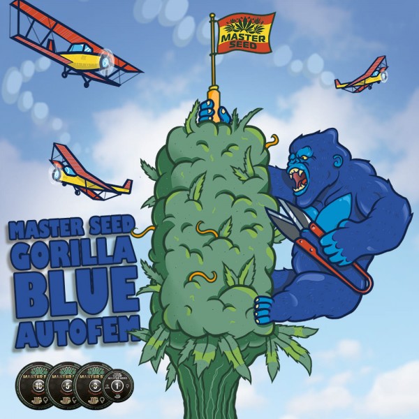 Семена конопли Gorilla Blue autofem. XXL Premium Big Size