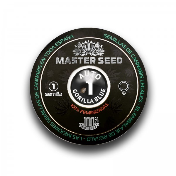 Насіння коноплі Master-Seed auto Gorilla Blue feminised