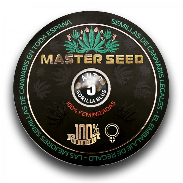 Насіння коноплі Master-Seed auto Gorilla Blue feminised