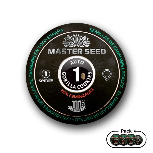 Семена конопли Master-Seed auto Gorilla Cookies feminised