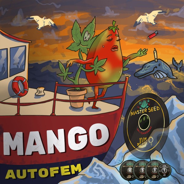 Семена конопли Master-Seed auto Mango feminised