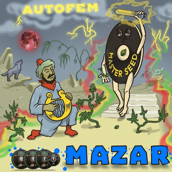Насіння коноплі Mazar autofem. XXL Premium Big Size
