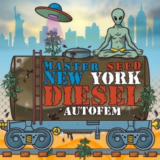 Master-Seed auto New York Diesel feminised