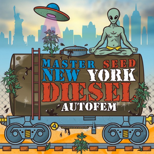 Семена конопли Master-Seed auto New York Diesel feminised